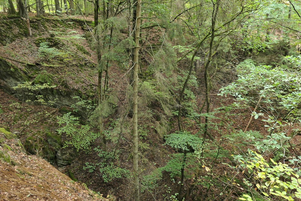 Im Wald bei den Resten der Roteisengrube Riesenburg am Riesenkopf 04