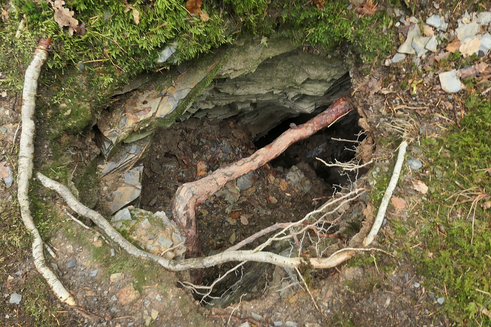 Im Wald bei den Resten der Roteisengrube Riesenburg am Riesenkopf 05