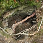 Im Wald bei den Resten der Roteisengrube Riesenburg am Riesenkopf 05