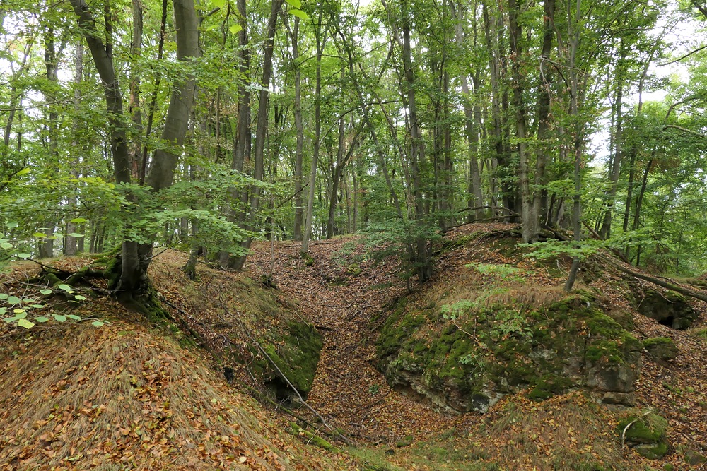 Im Wald bei den Resten der Roteisengrube Riesenburg am Riesenkopf 06