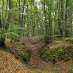 Im Wald bei den Resten der Roteisengrube Riesenburg am Riesenkopf 06