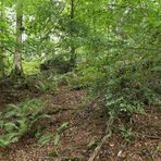 Im Wald bei den Resten der Roteisengrube Riesenburg am Riesenkopf 07