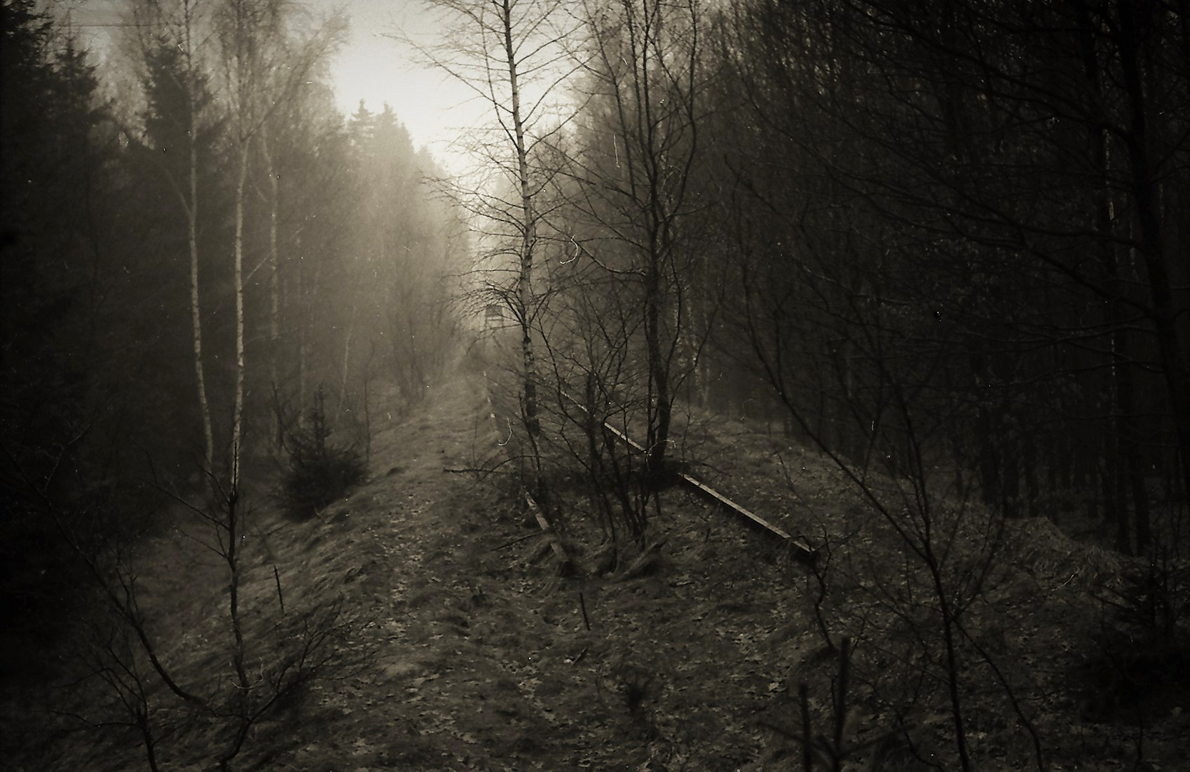 Im Wald bei Müdisdorf .