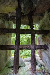 Im Wald beim Schloß Lietzow