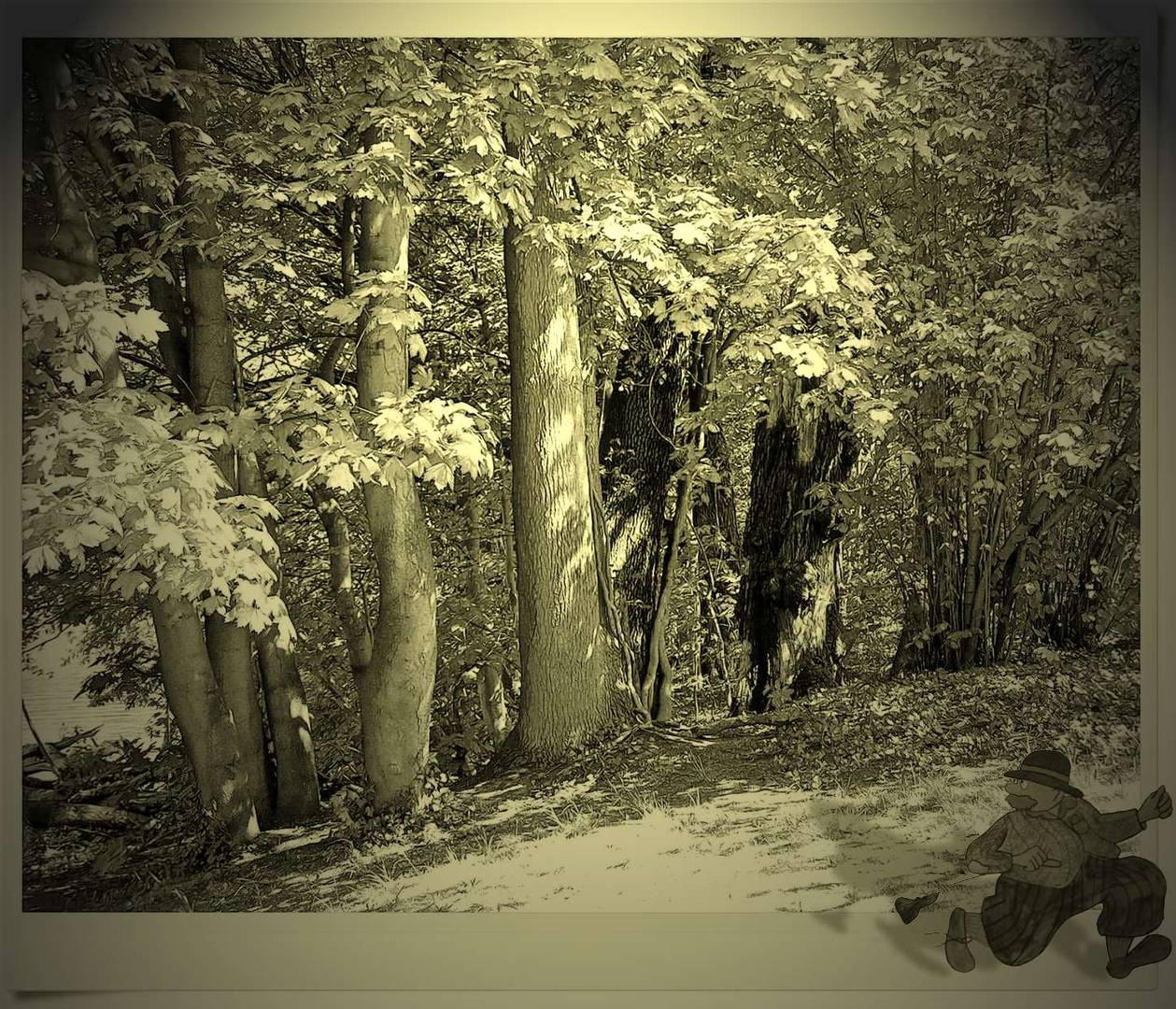 im Wald, da sind die Räu-häuber