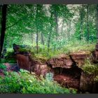 Im Wald, da sind die Räuber