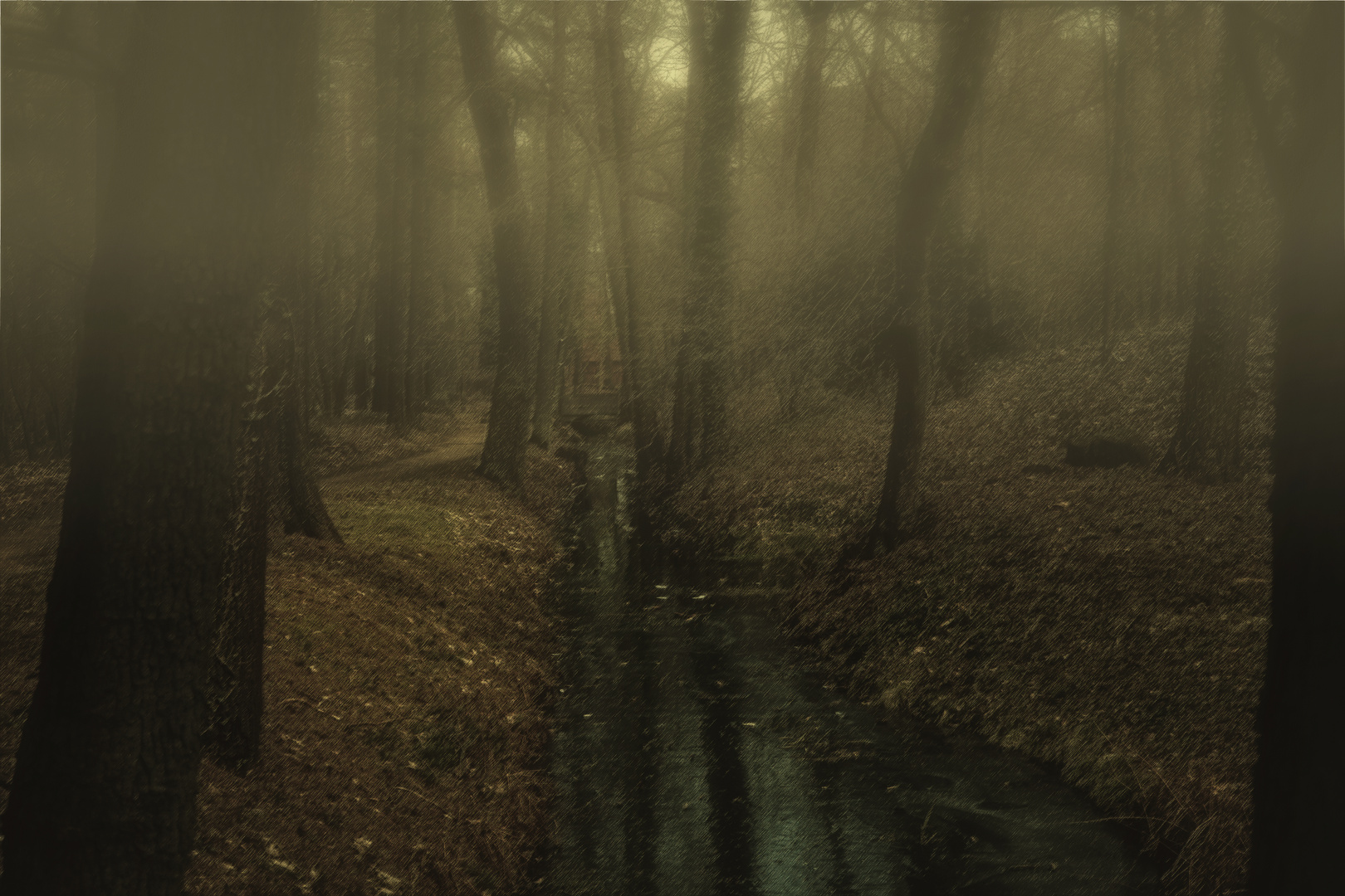 Im Wald da sind die Räuber