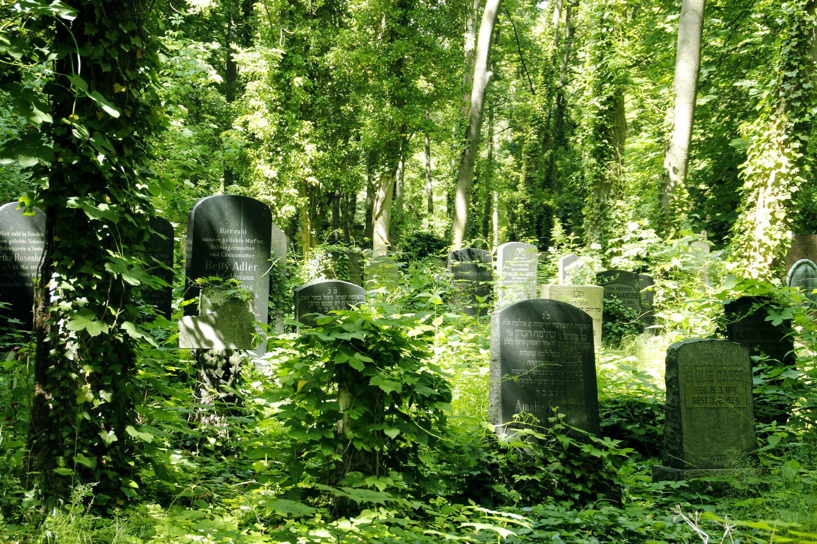 Im Wald der Erinnerung 1. Jüdischer Friedhof Weißensee