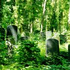 Im Wald der Erinnerung 1. Jüdischer Friedhof Weißensee