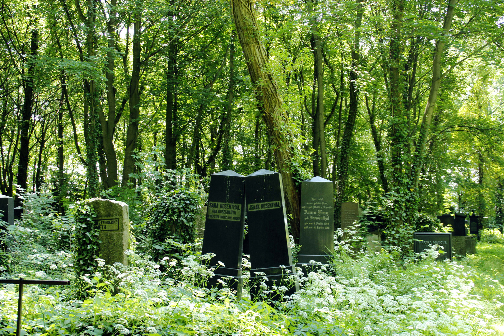 Im Wald der Erinnerung 2. Jüdischer Friedhof Weißensee