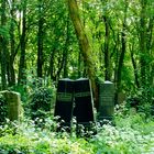 Im Wald der Erinnerung 2. Jüdischer Friedhof Weißensee