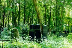 Im Wald der Erinnerung 2. Jüdischer Friedhof Weißensee