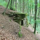 Im Wald der Pinnemännchen