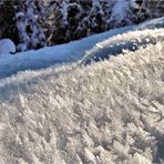 IM WALD DER SCHNEEKRISTALLE