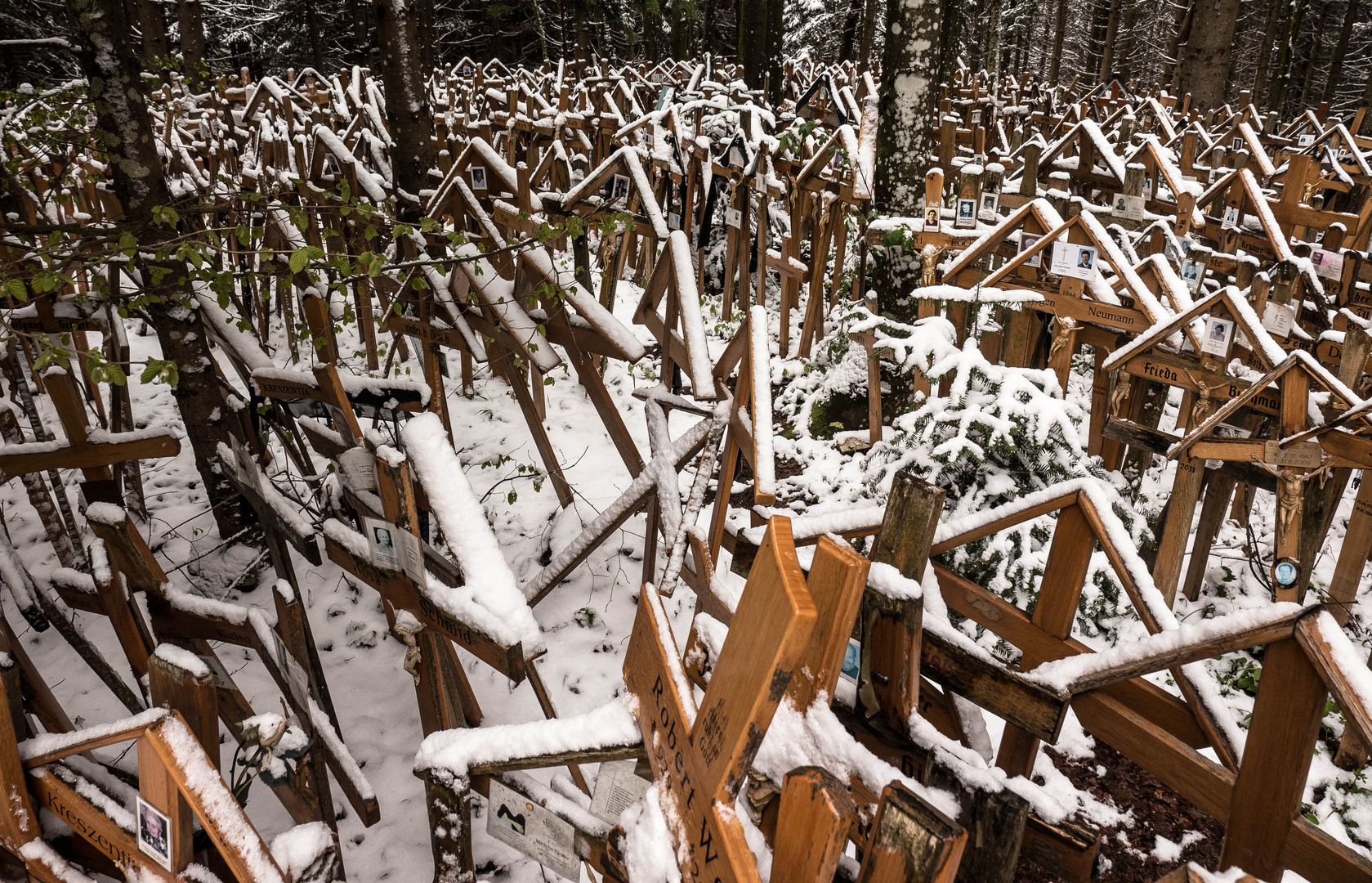 Im Wald der Sterbekreuze