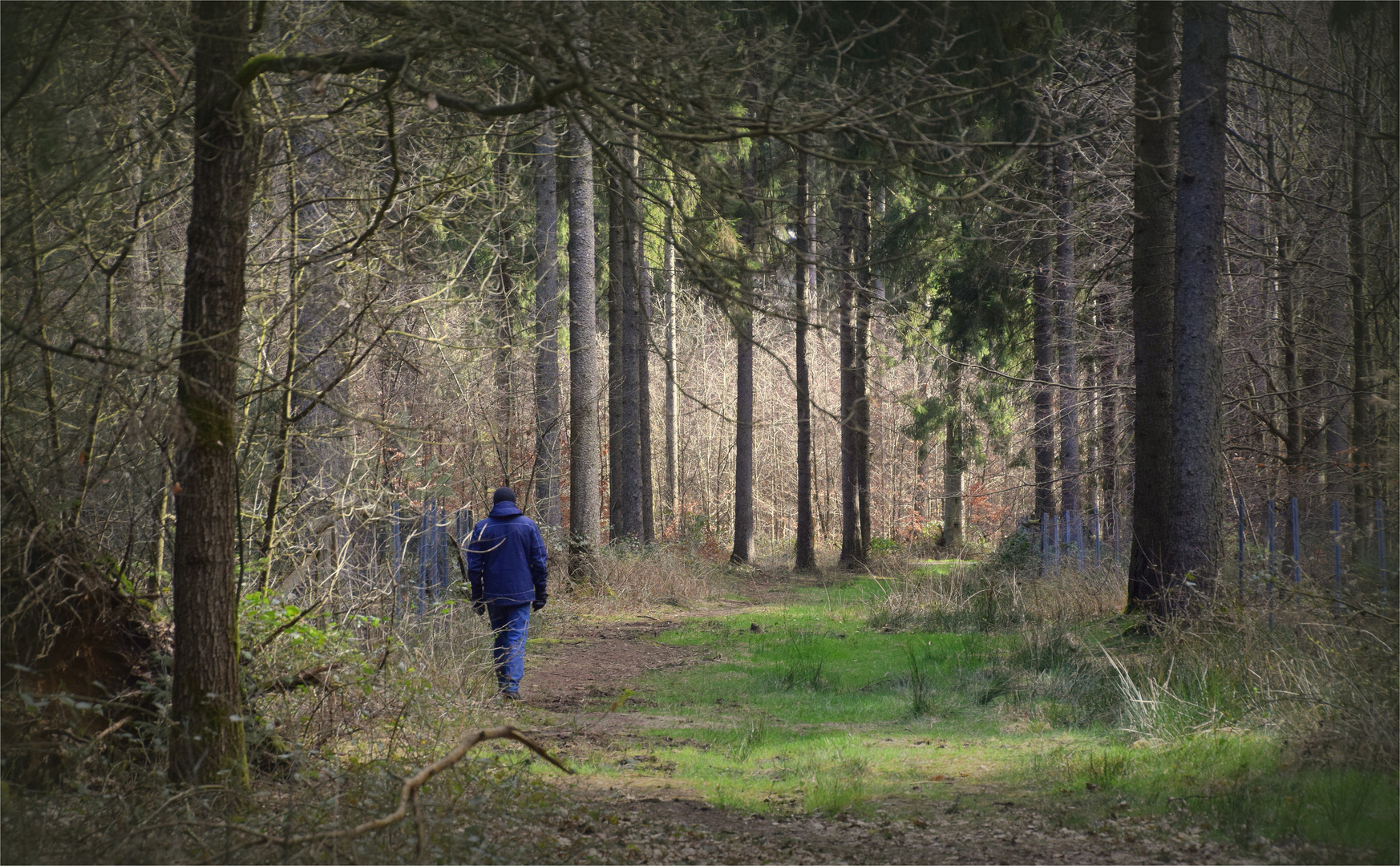 .. im Wald..