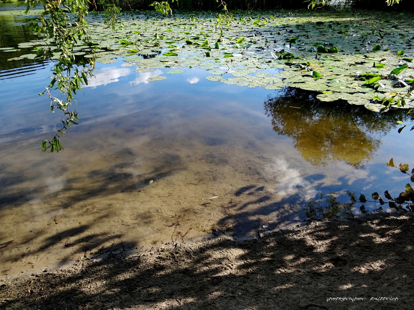 Im Wald gelegen...