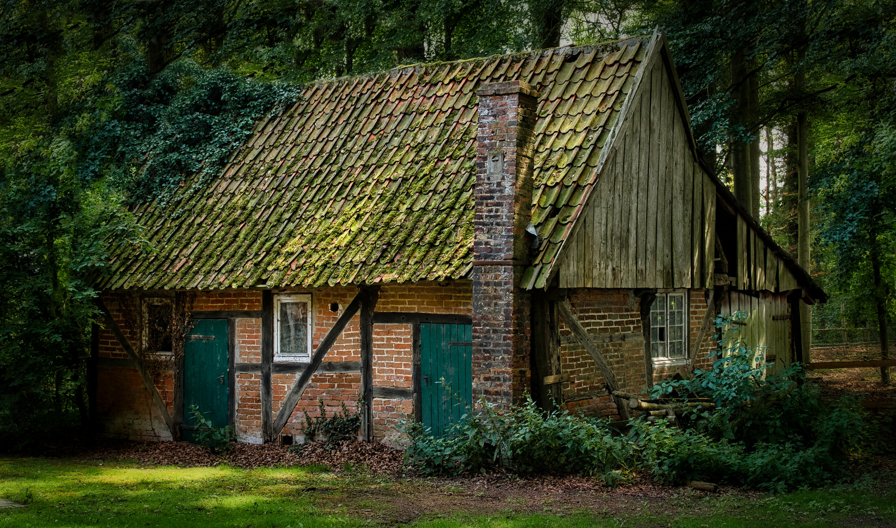 Im Wald gesehen