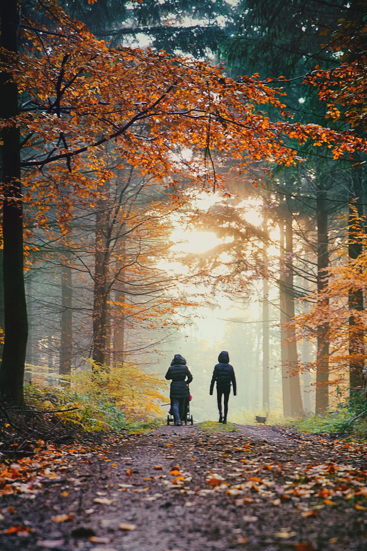  im Wald gibts nicht nue Räuber