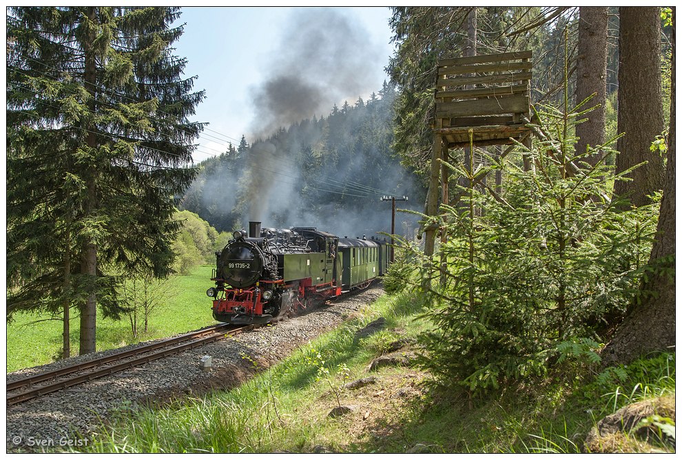 Im Wald hinter Schmalzgrube