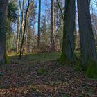 Im Wald II