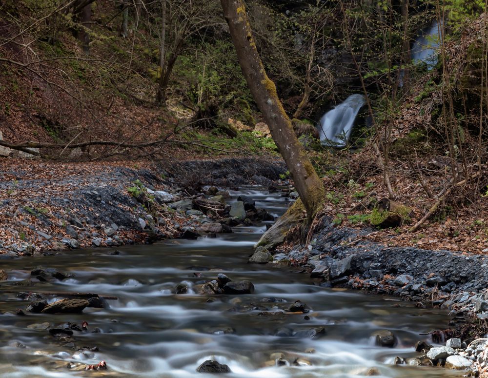 Im Wald III