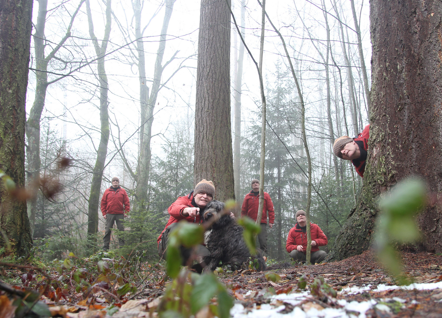 Im Wald ist man nie Allein