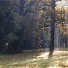 im Wald sind keine Räuber -