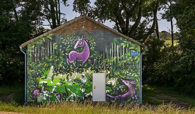 Im Wald und auf der Heide ......