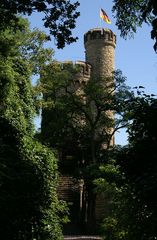 Im Wald versteckt, der Lennebergturm.