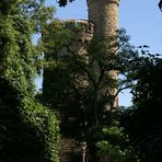 Im Wald versteckt, der Lennebergturm.