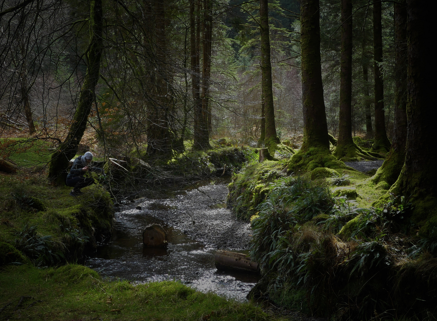 Im Wald von Gougana Barra 