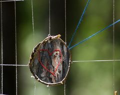 ... im Wald - zur Orientierung ...