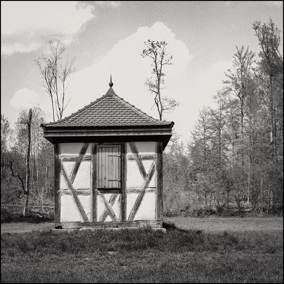 im Waldgarten