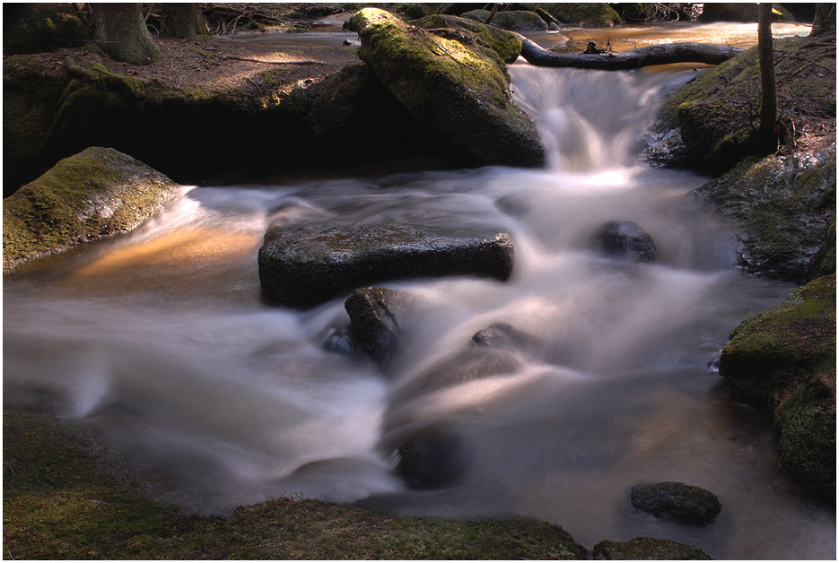 im waldviertel