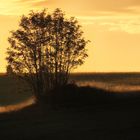 Im Waldviertel geht die Sonne auf