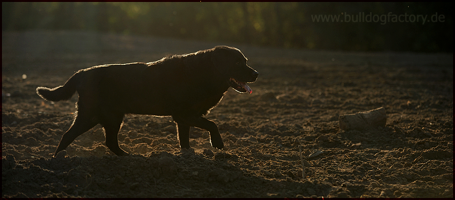 I´m walking .......