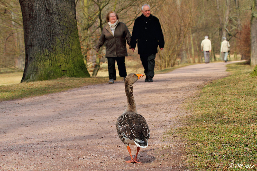 I'm walking...! ;-)