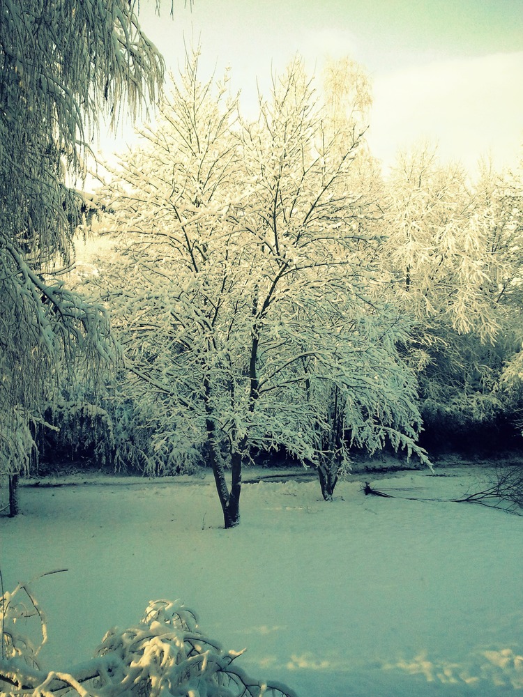I'm walking in a winter wonderland :)