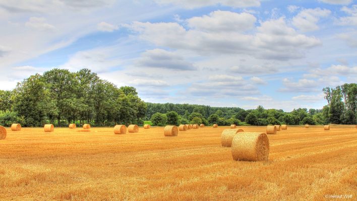 Im Wandel der Jahreszeiten 