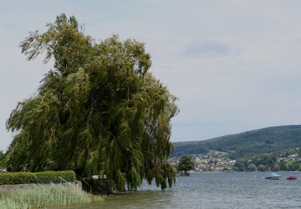 Im Wandel der Jahreszeiten I