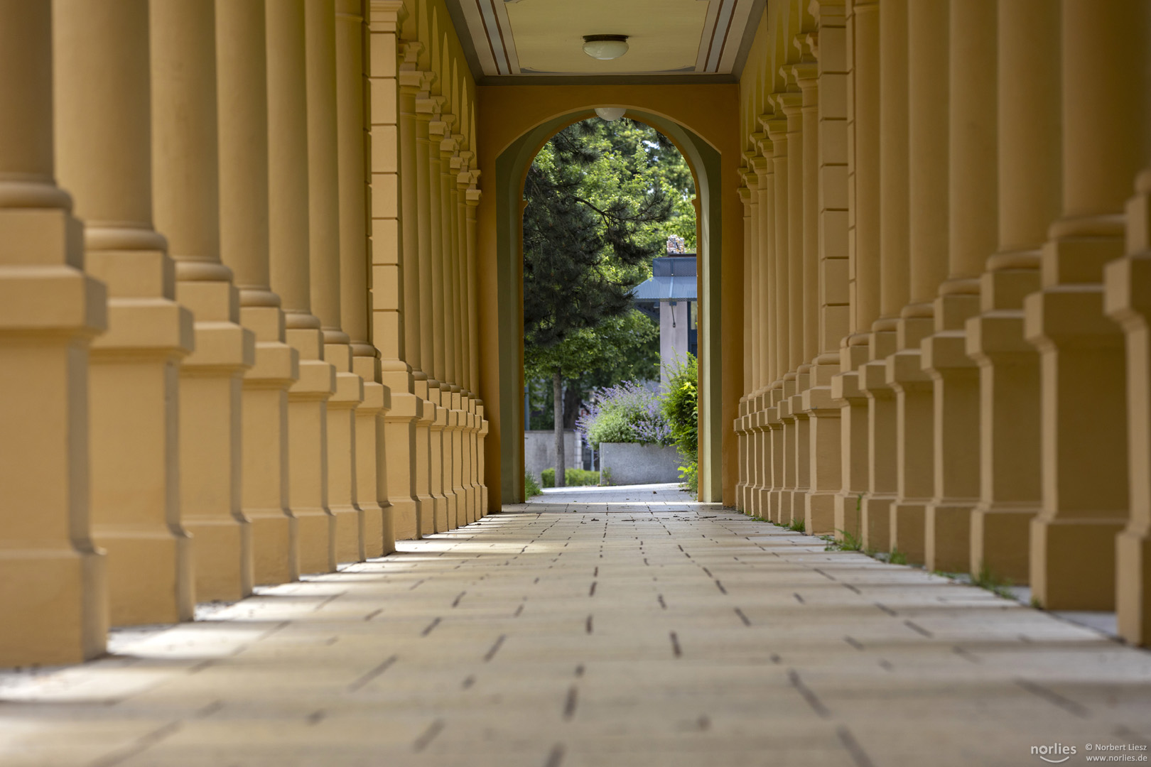 Im Wandelgang - Hessing Arkaden