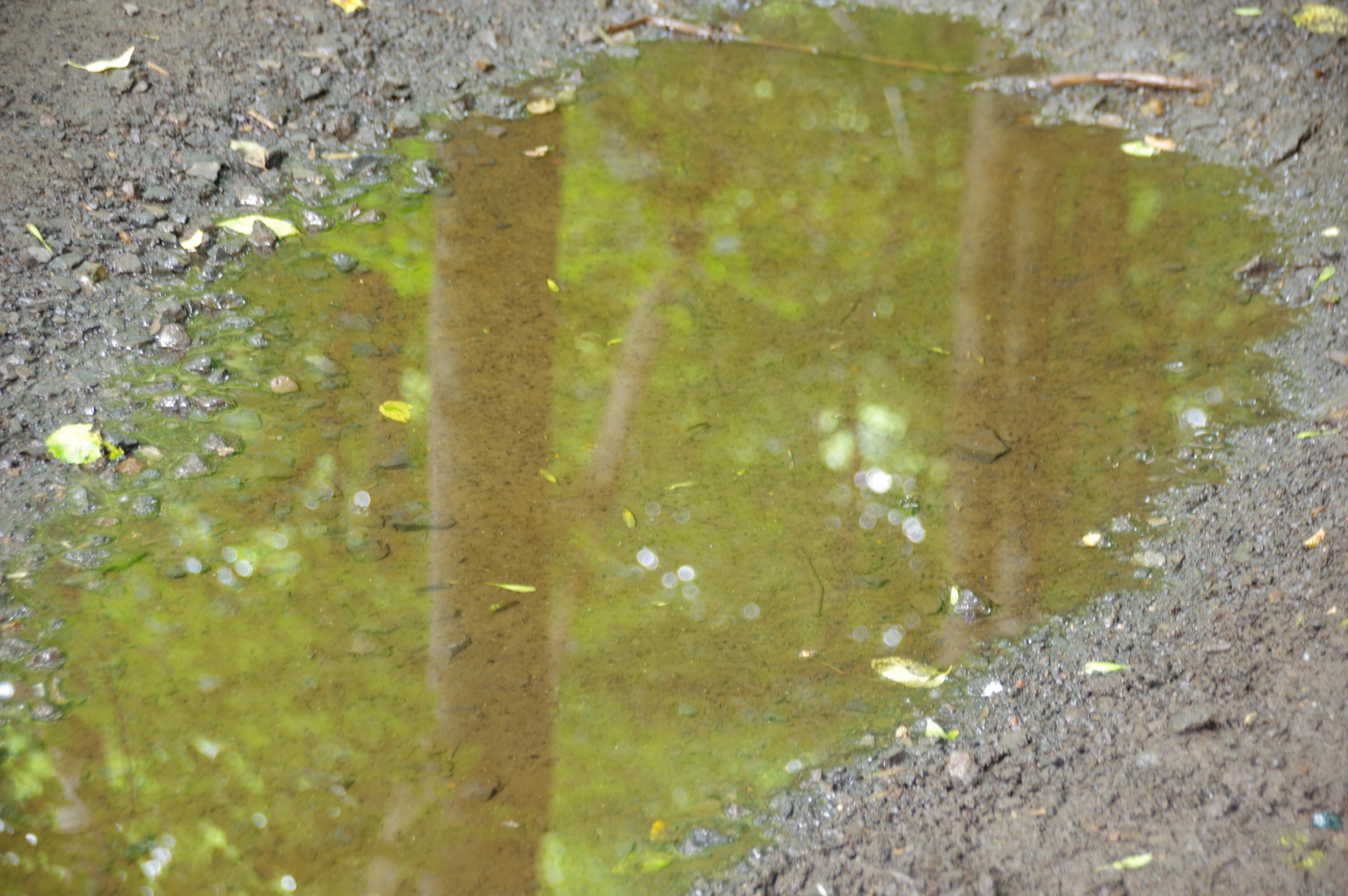 Im Wanderweg gespiegelt