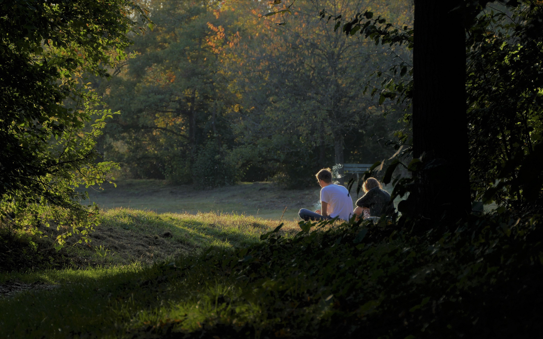 Im warmen Licht der Abendsonne