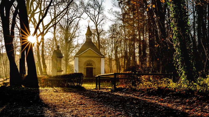 Im warmen Morgenlicht ...