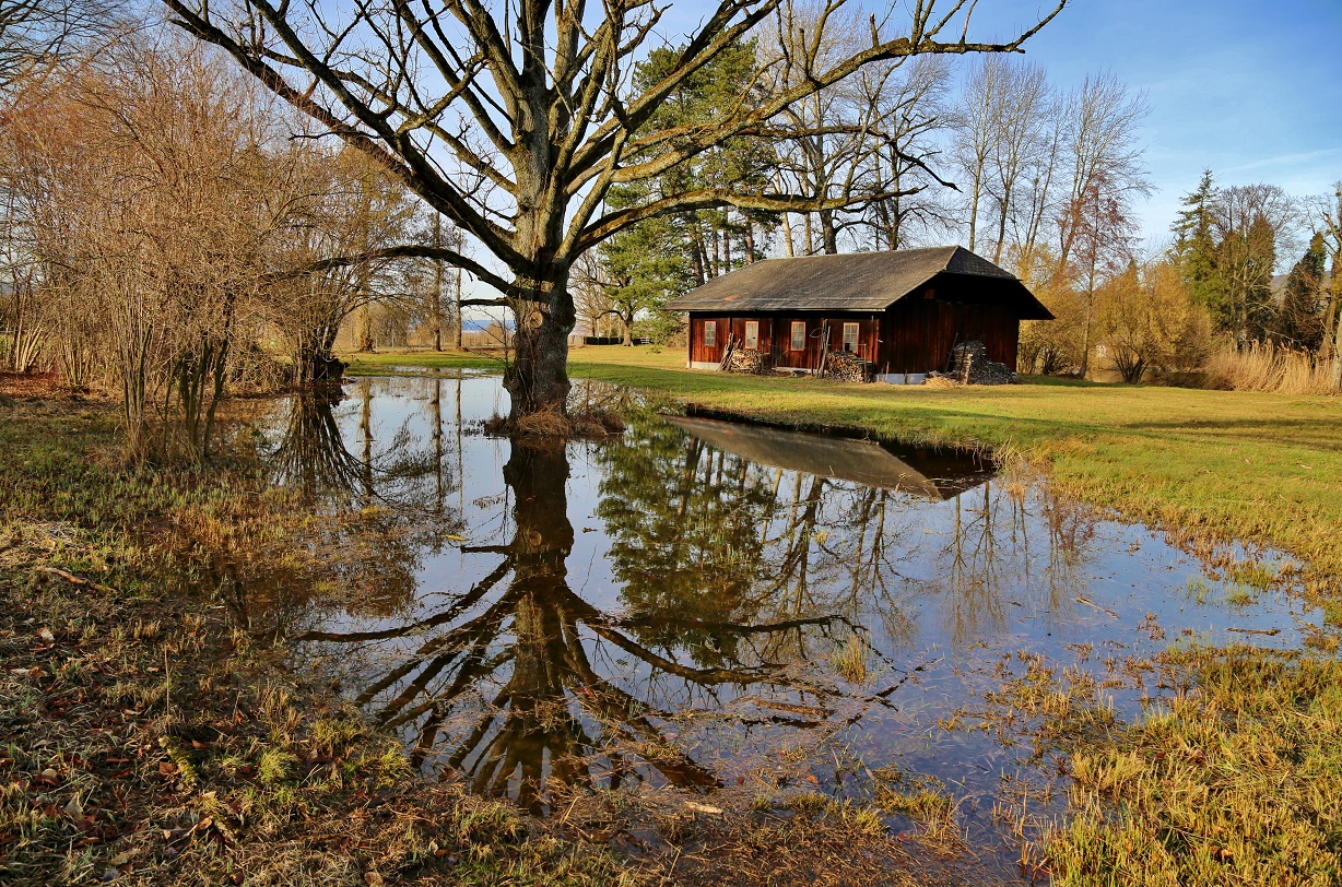 im wasser 