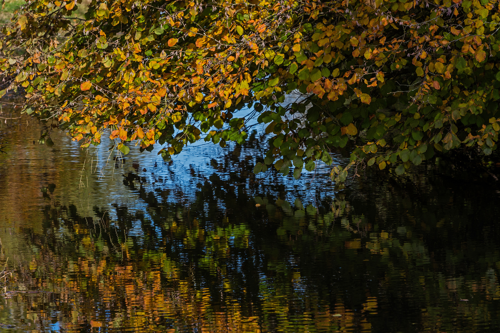 Im Wasser der Gersprenz