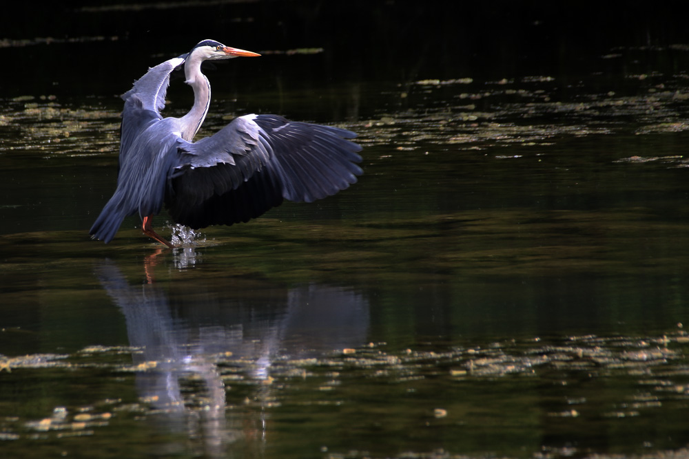 im Wasser gelandet.....