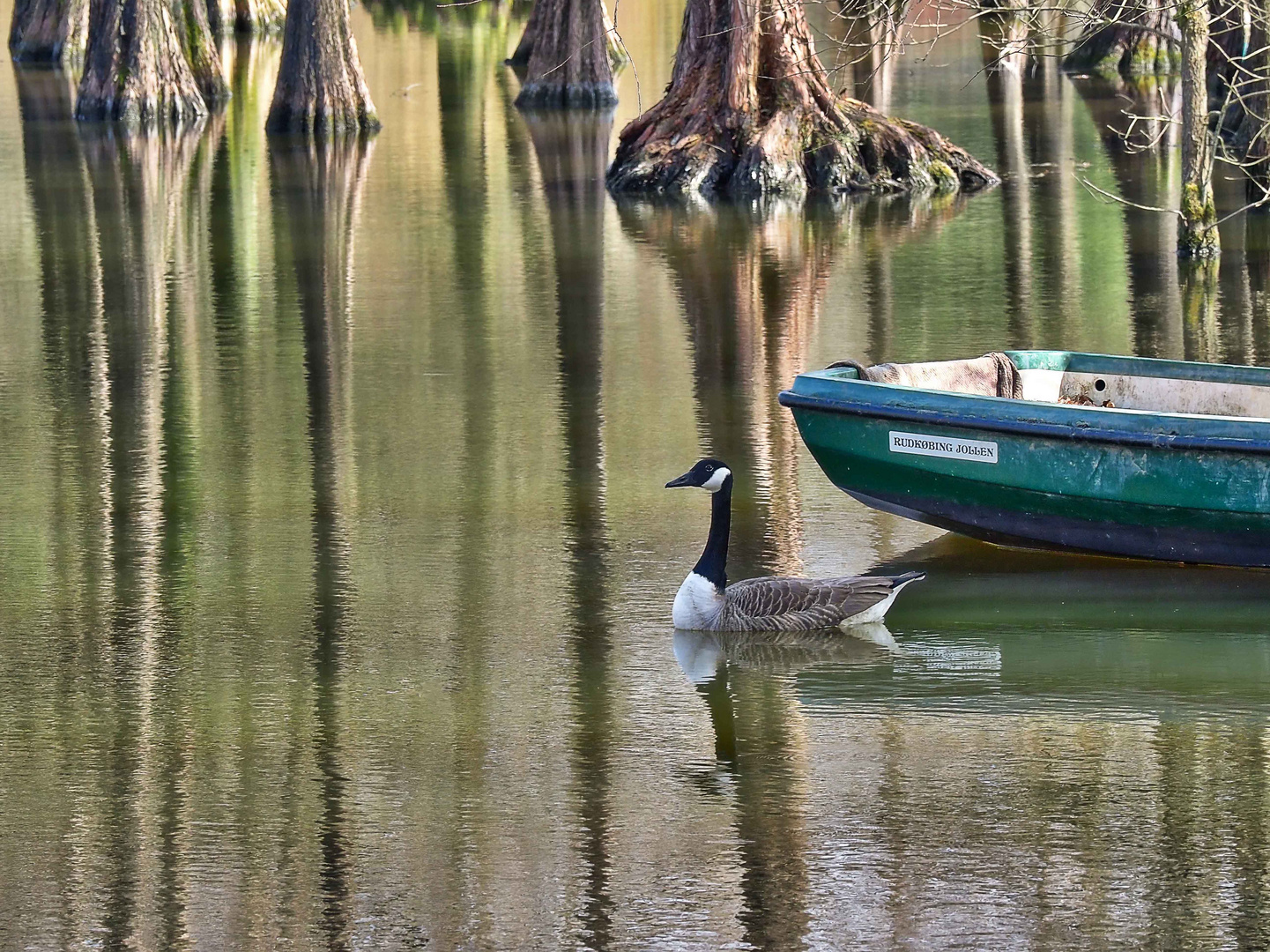 Im Wasser gespiegelt