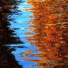 ... im Wasser spiegelt sich der Herbst